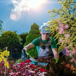 Realizácia záhrad – premena pozemku na krásny zelený priestor